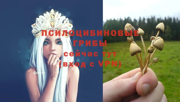 прущие грибы Алексеевка