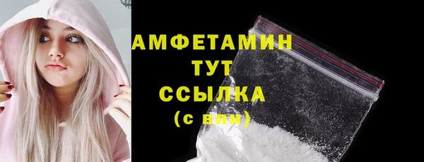 сатива Новозыбков