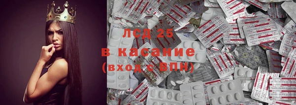 прущие грибы Алексеевка