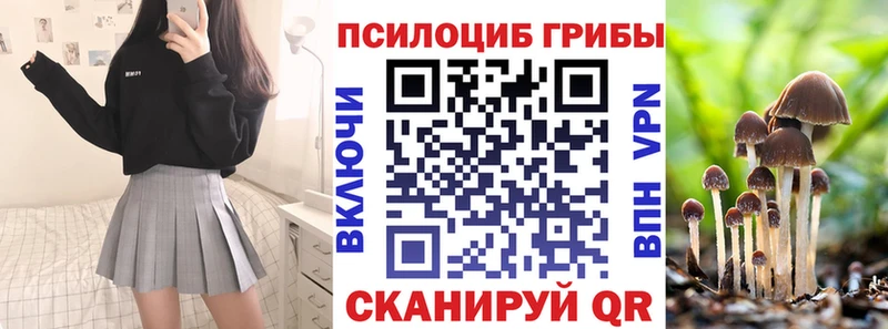мега tor  купить наркоту  Дрезна  Псилоцибиновые грибы MAGIC MUSHROOMS 